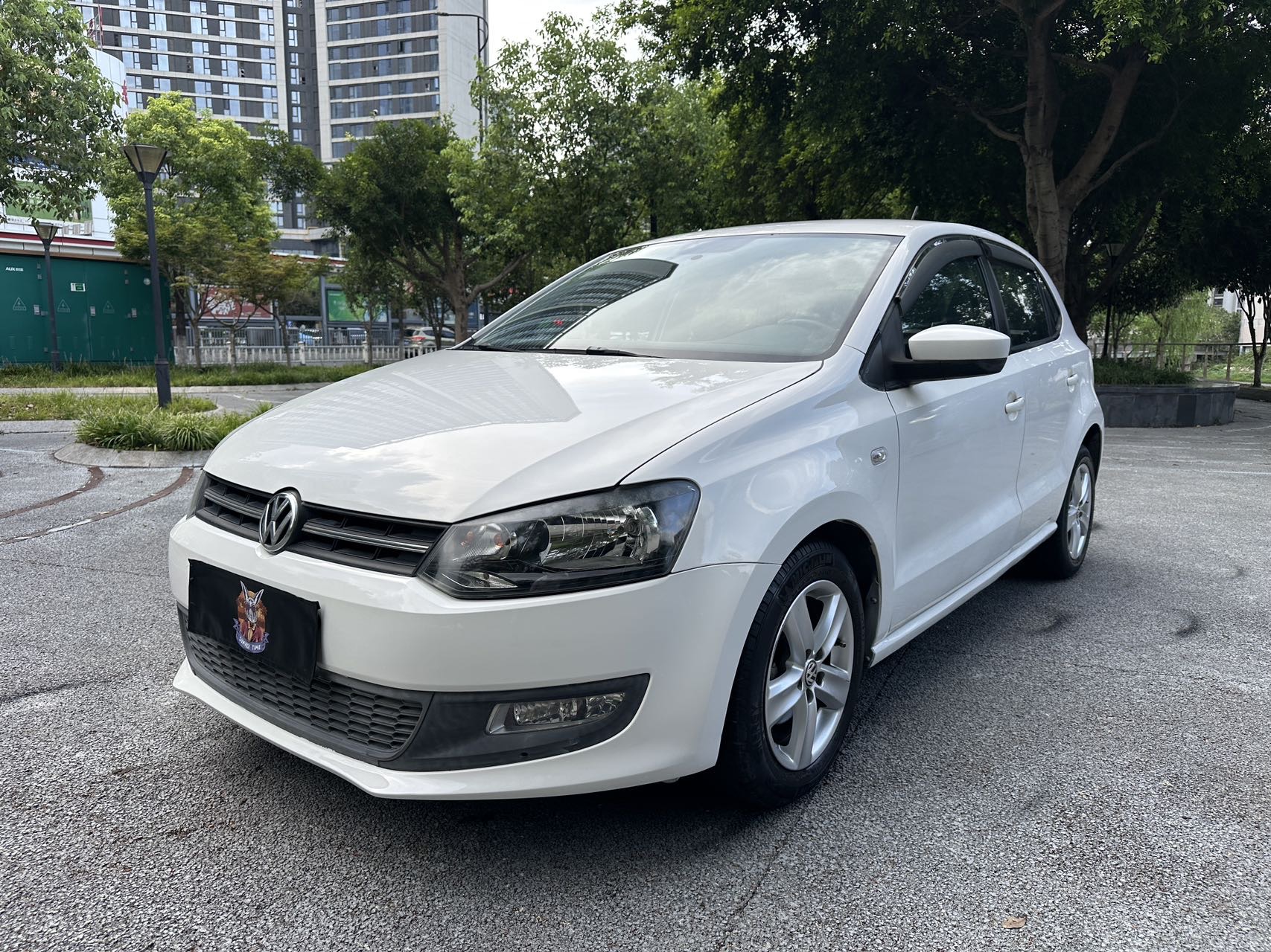 Volkswagen Polo 2013 Volkswagen Polo 2013 car image