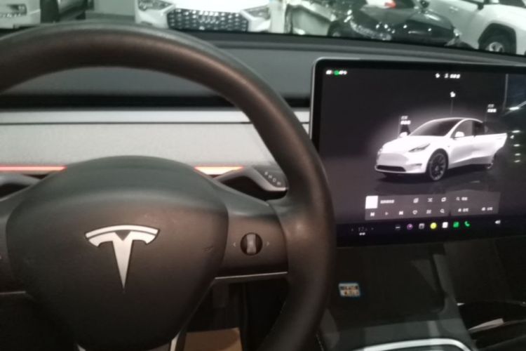 Tesla Model Y 2024 car image #15