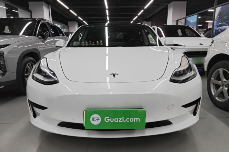 Tesla Model 3 2020 #3 Tesla Model 3 2020 car image #3