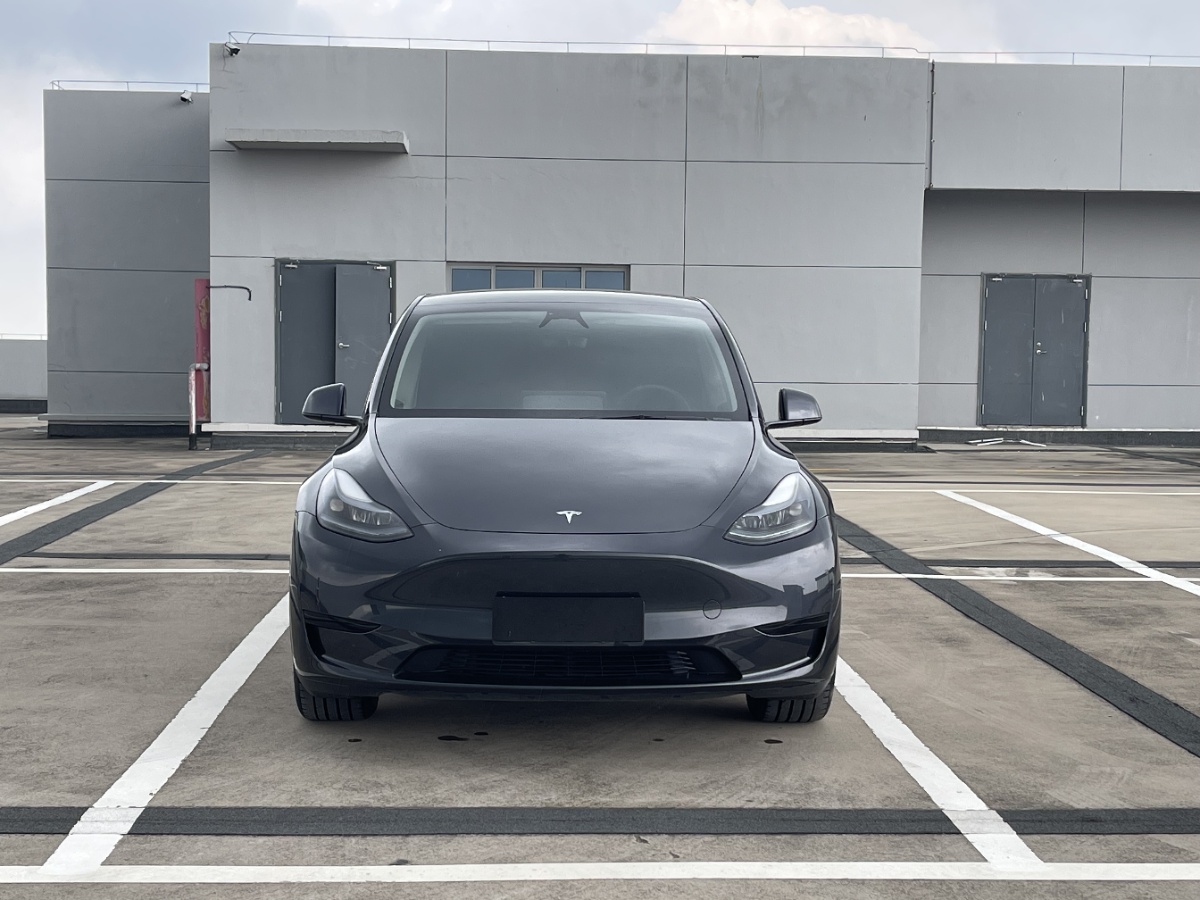 Tesla Model Y 2024 car image #2