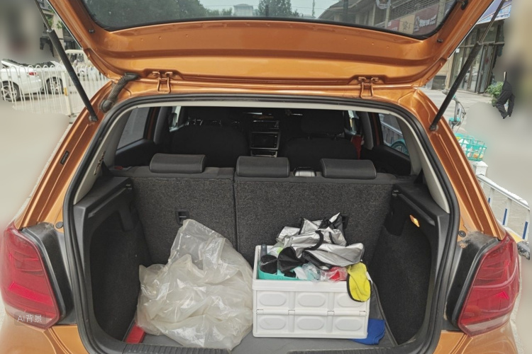 Volkswagen Polo 2015 car image #21