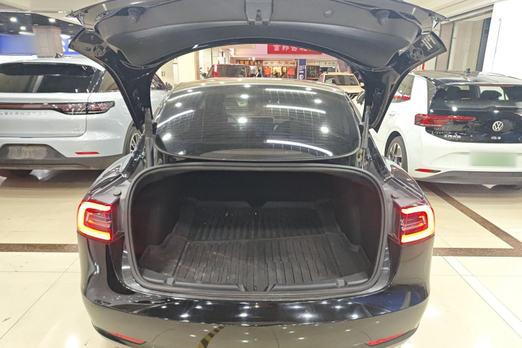 Tesla Model 3 2021 #19 Tesla Model 3 2021 immagine di auto #19