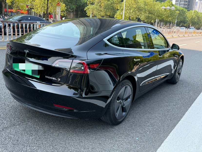 Tesla Model 3 2020 car image #9