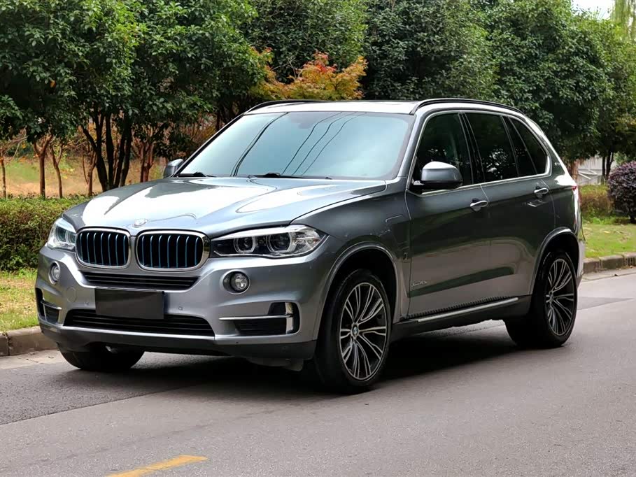 BMW X5 New Energy (Imported) 2018 car image 