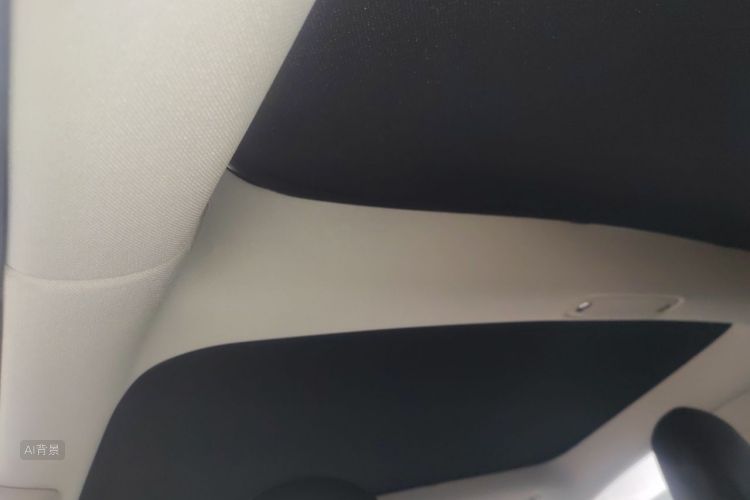 Tesla Model 3 2021 car image #20