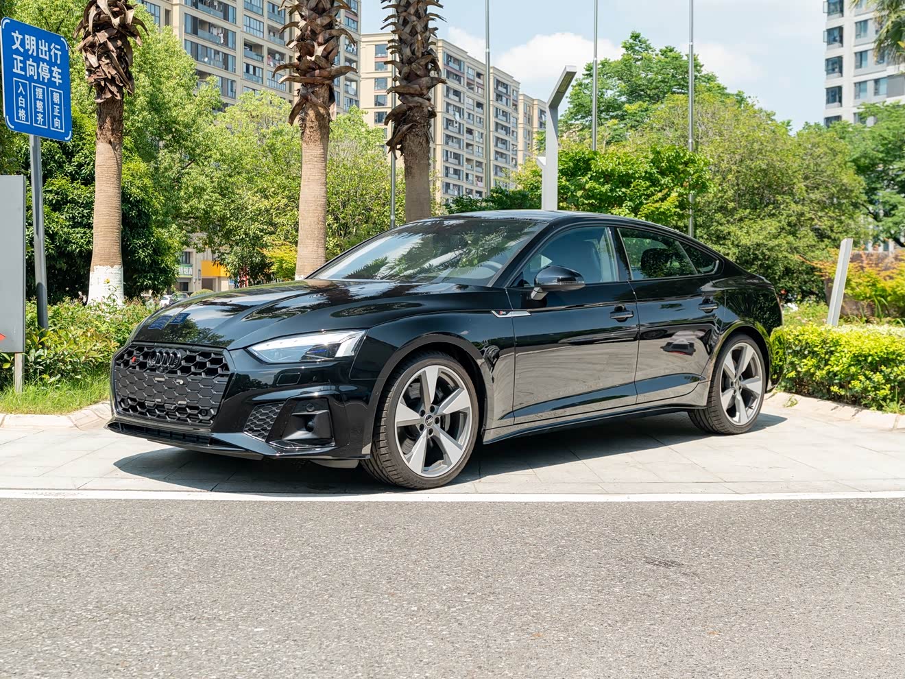 Audi S5 2025 car image 