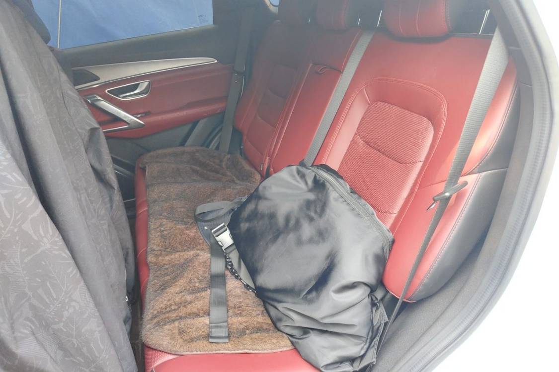 Jetour X70 PLUS 2022 #19 Jetour X70 PLUS 2022 car image #19