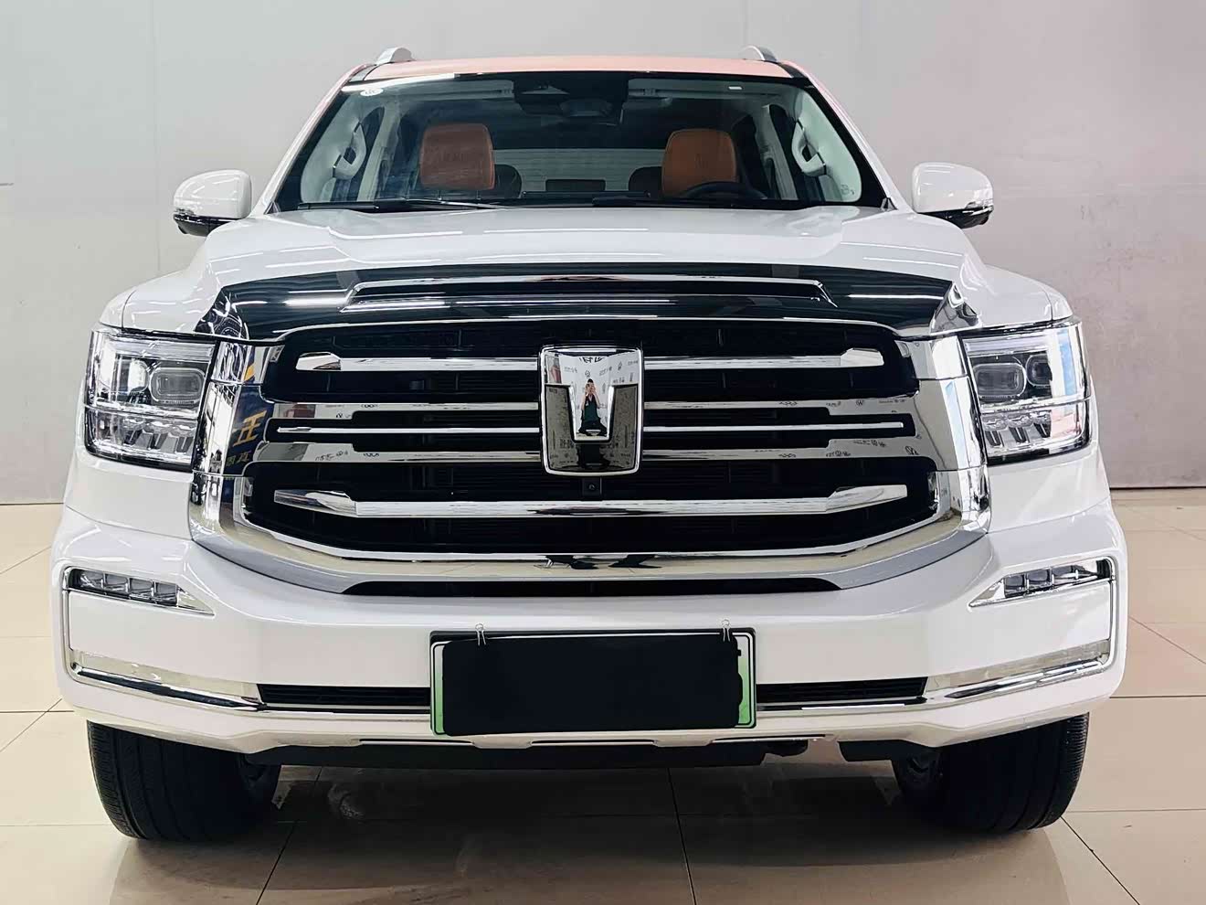 Tank 500 New Energy 2024 car image 