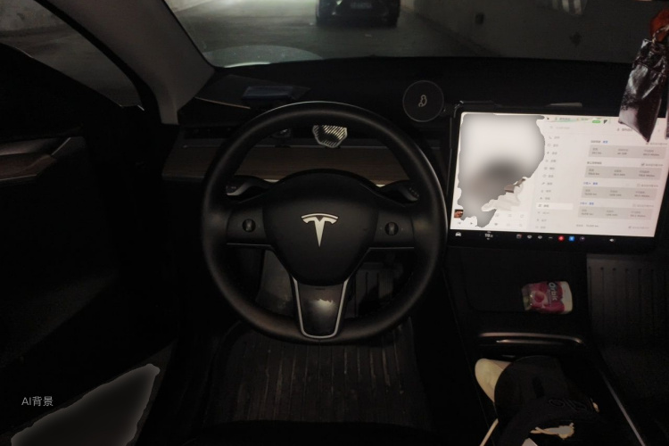 Tesla Model Y 2022 car image #12