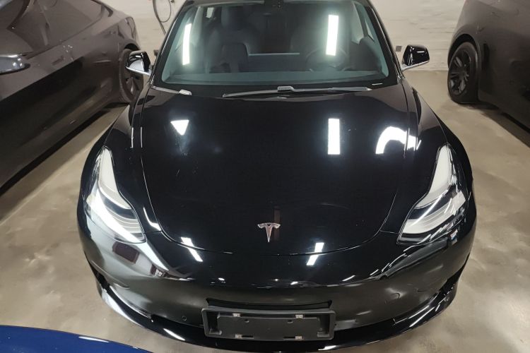 Tesla Model 3 2020 #3 Tesla Model 3 2020 car image #3