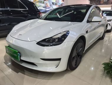Tesla Model 3 2021 Tesla Model 3 2021 car image