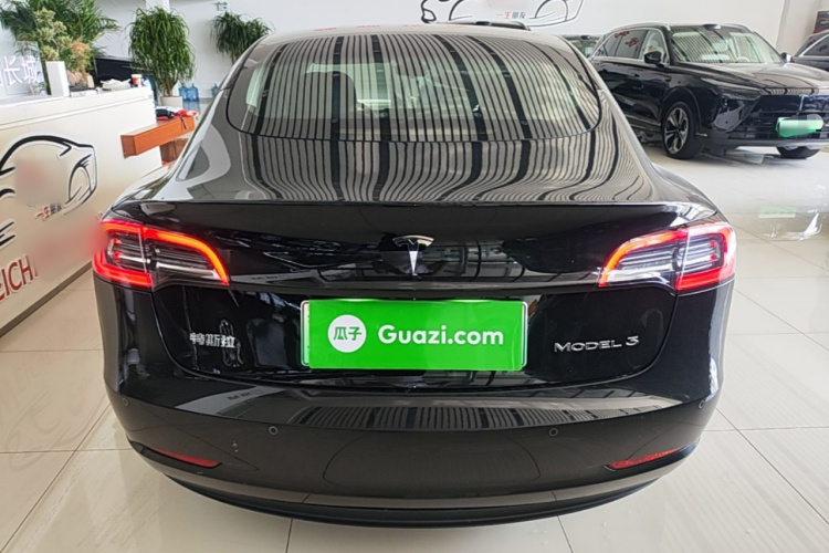 Tesla Model 3 2021 car image #6