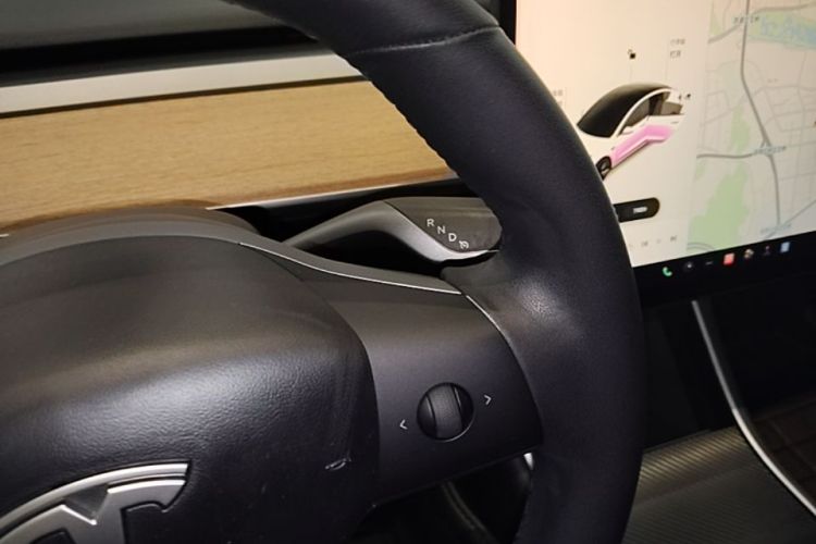 Tesla Model 3 2020 car image #16