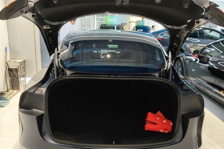 Tesla Model 3 2024 #18 Tesla Model 3 2024 car image #18