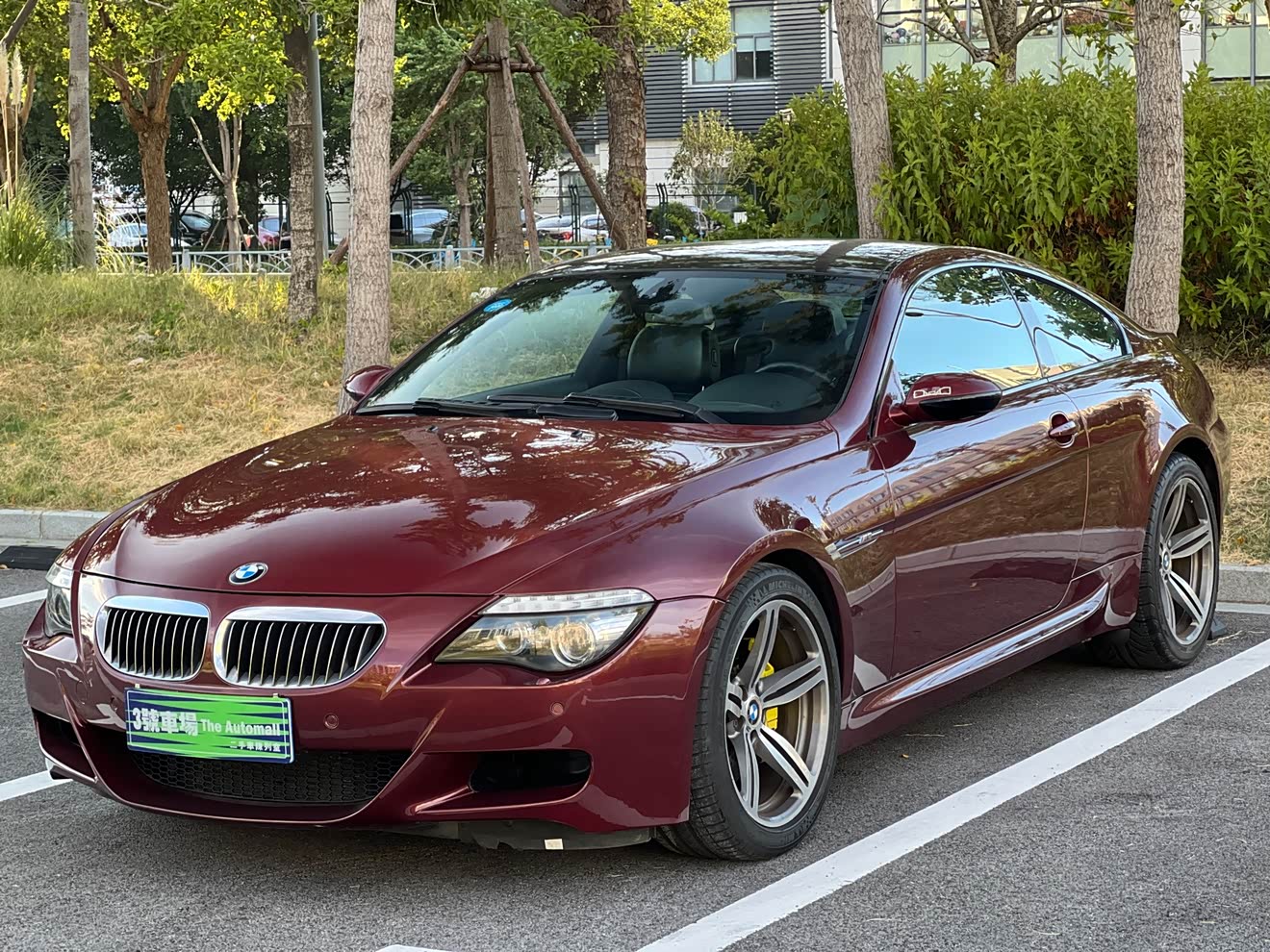 BMW M6 2008 car image 