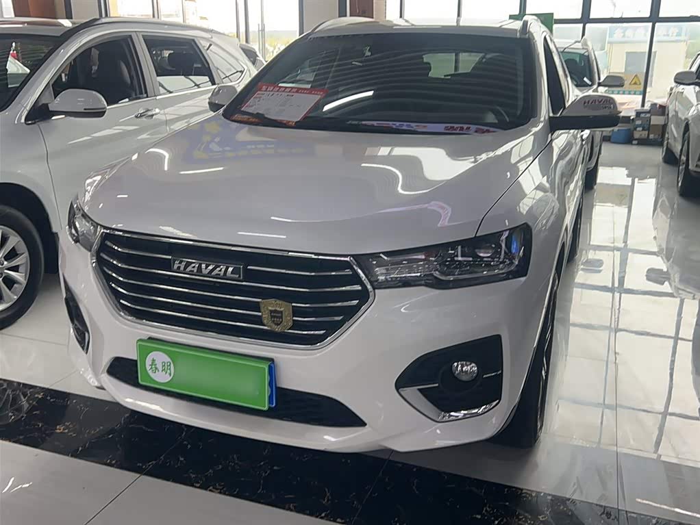 Haval H4 2020 car image 