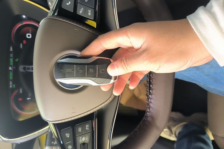 BYD Han 2021 #9 BYD Han 2021 immagine di auto #9