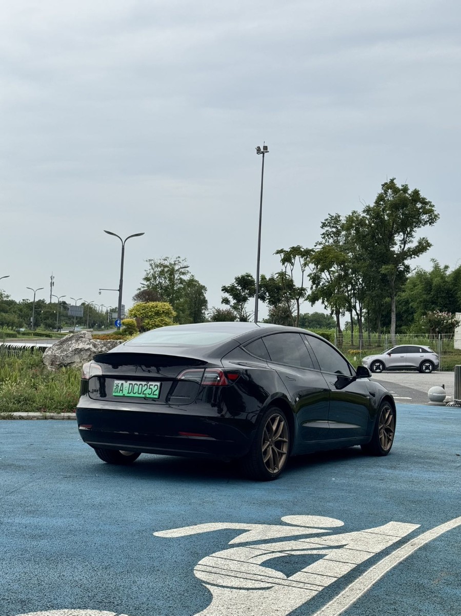 Tesla Model 3 2021 car image #3