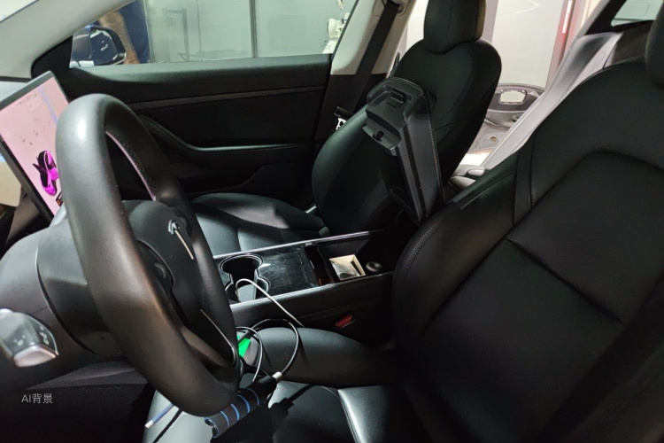 Tesla Model 3 2020 car image #17