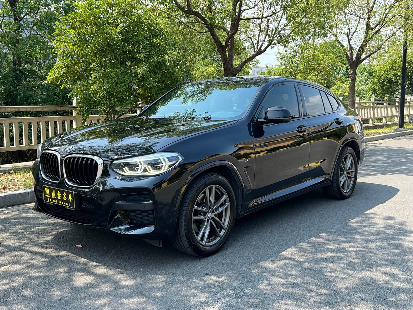 BMW X4 2020 BMW X4 2020 car image