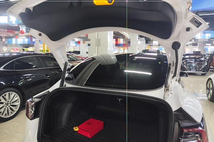 Tesla Model 3 2021 #19 Tesla Model 3 2021 car image #19
