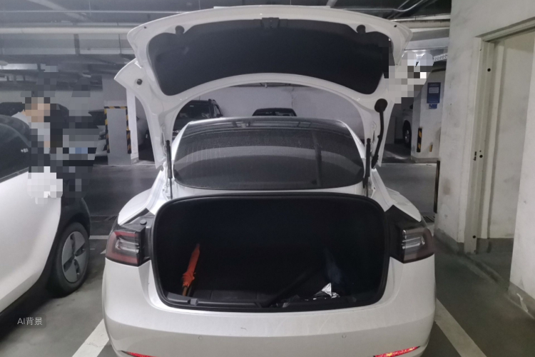 Tesla Model 3 2020 car image #21