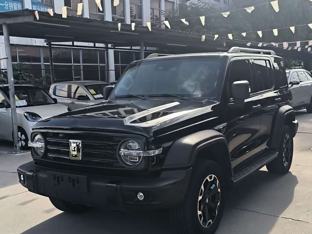 Tank 300 New Energy 2025 car image 