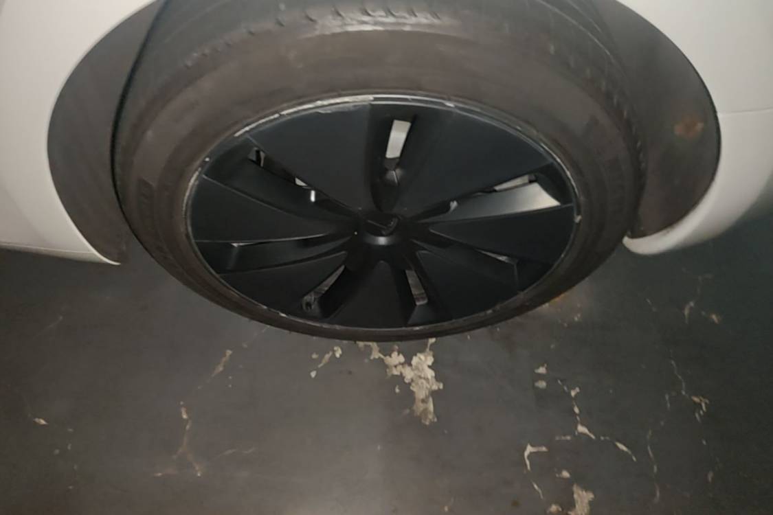 Tesla Model 3 2023 #19 Tesla Model 3 2023 car image #19