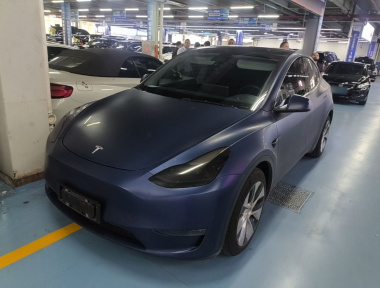 Tesla Model Y 2021 Tesla Model Y 2021 car image