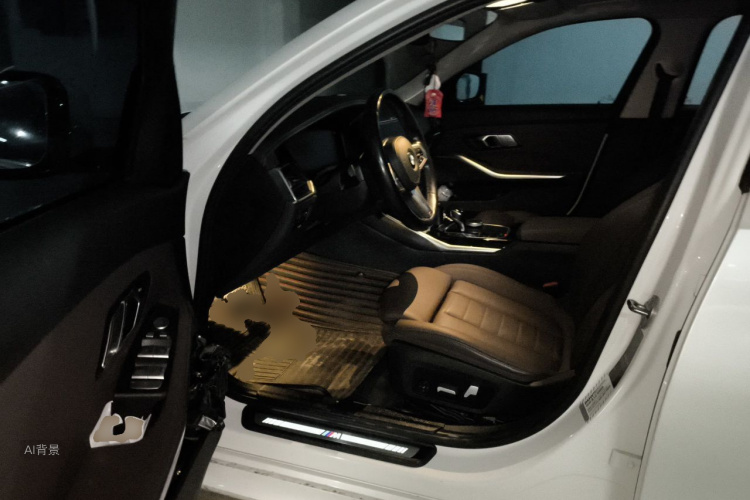 BMW 3 Series 2020 car image #18