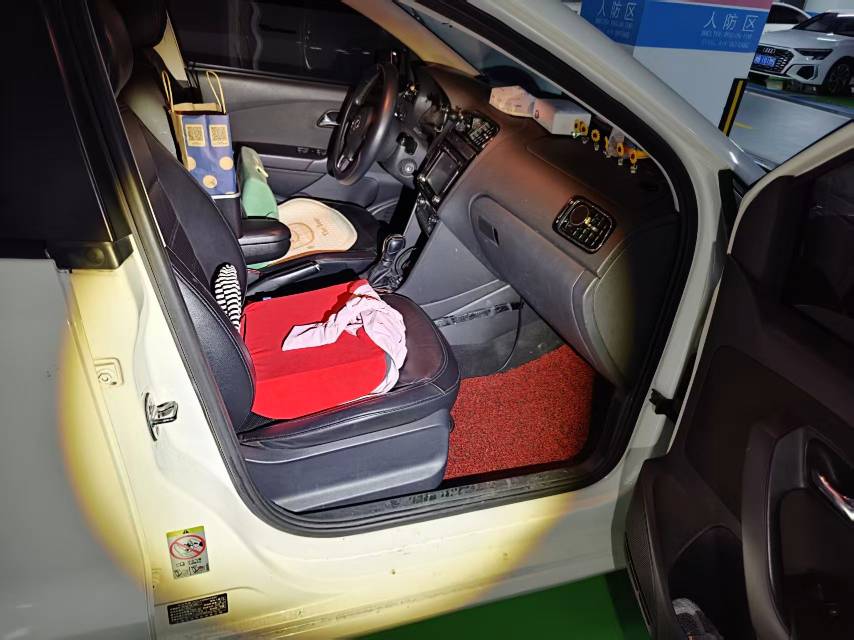 Volkswagen Polo 2013 car image #5