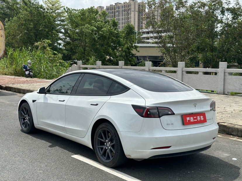 Tesla Model 3 2021 #7 Tesla Model 3 2021 car image #7