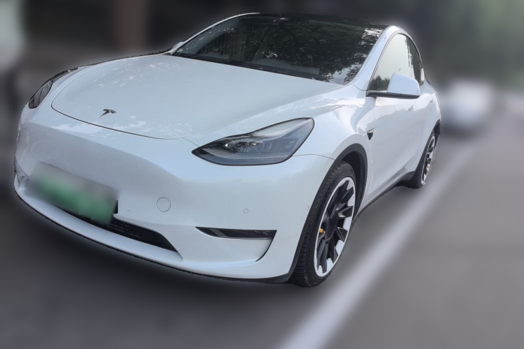 Tesla Model Y 2021 #2 Tesla Model Y 2021 car image #2