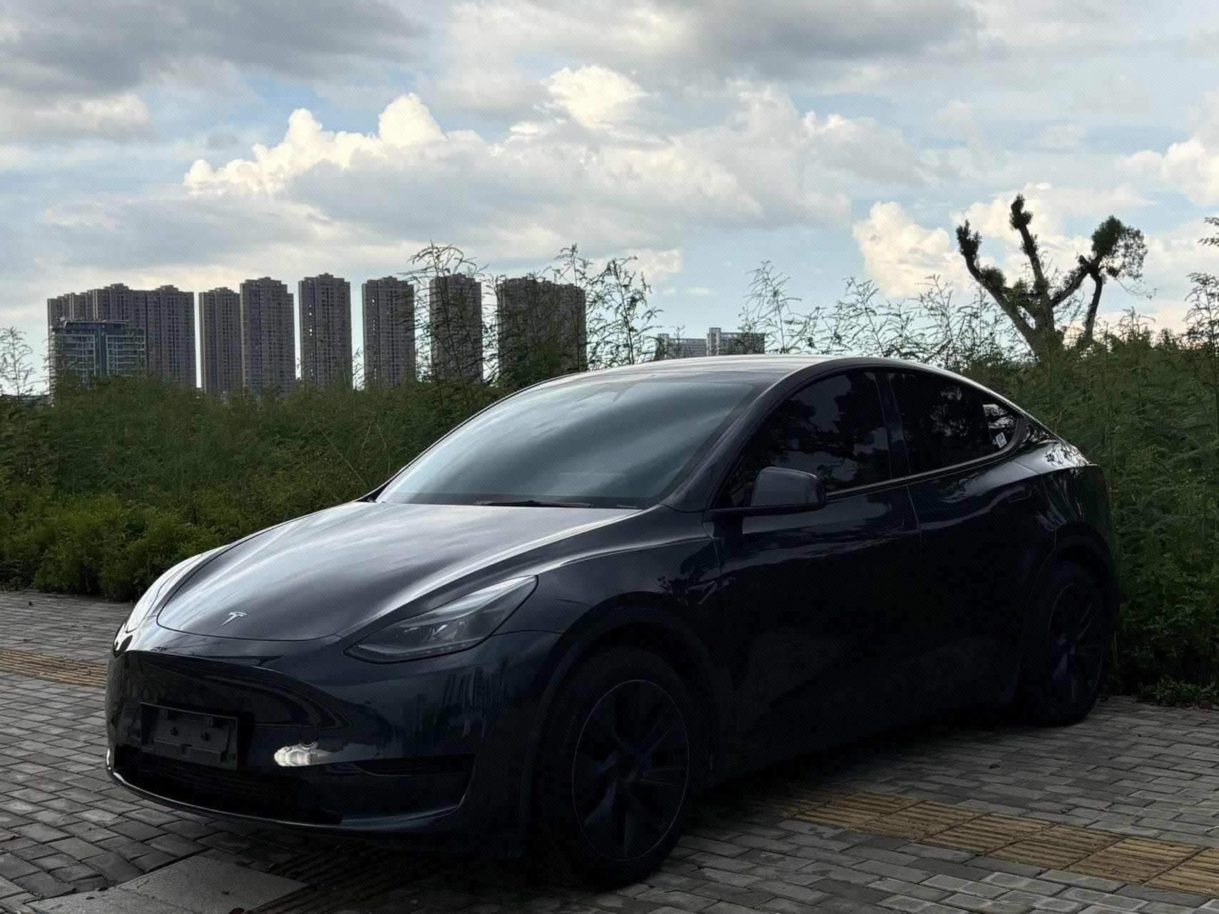 Tesla Model Y 2024 car image 