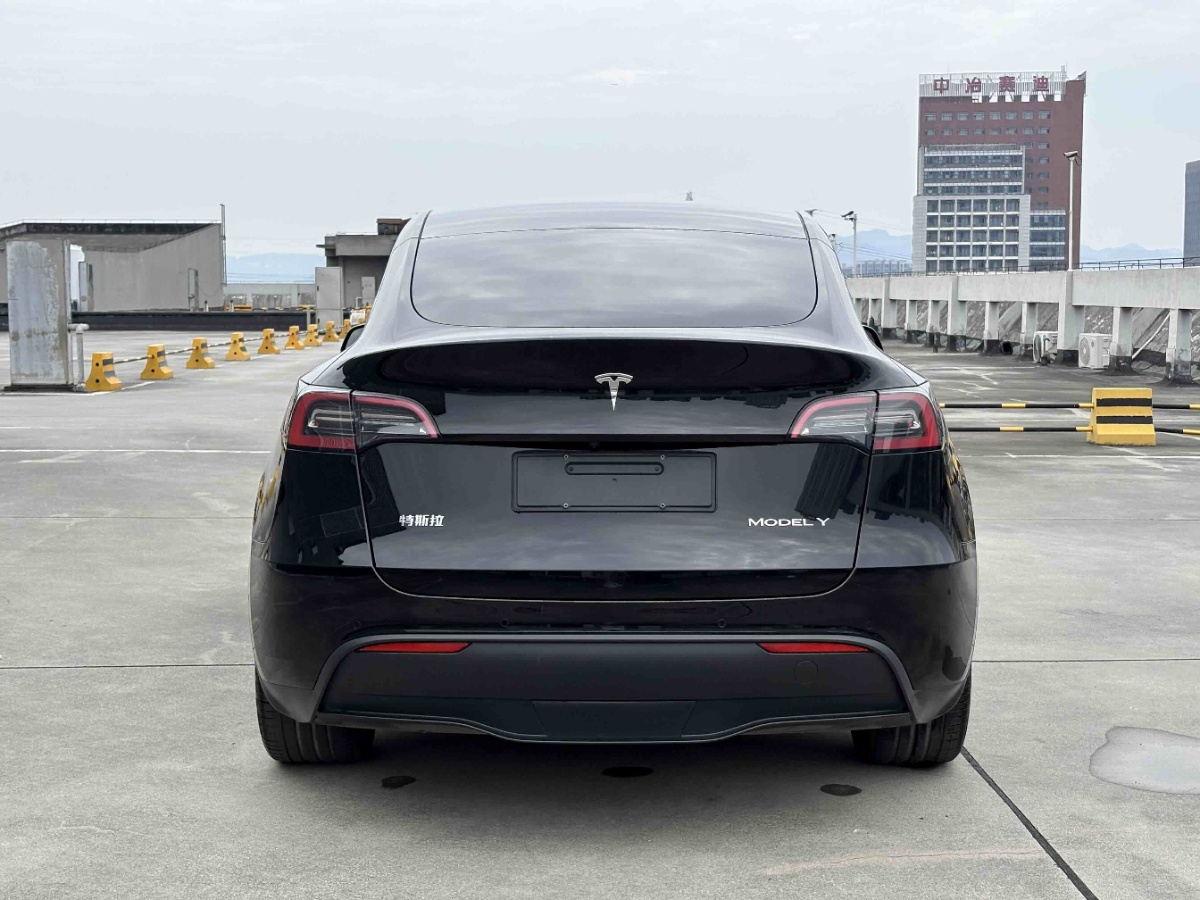 Tesla Model Y 2023 #6 Tesla Model Y 2023 car image #6