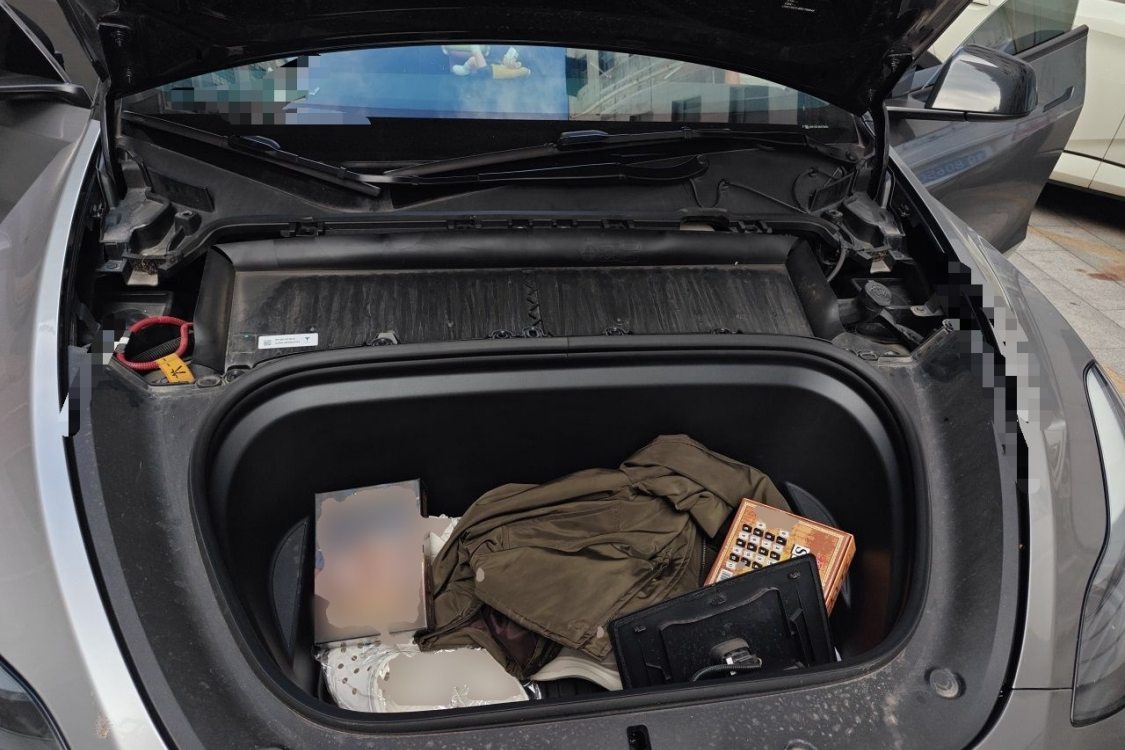 Tesla Model Y 2024 car image #10