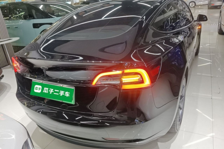 Tesla Model 3 2021 car image #6