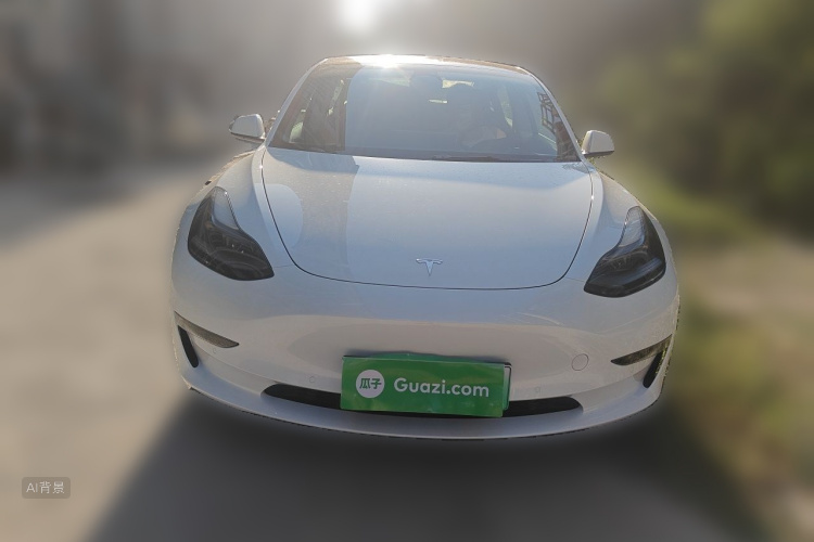 Tesla Model 3 2022 car image #3