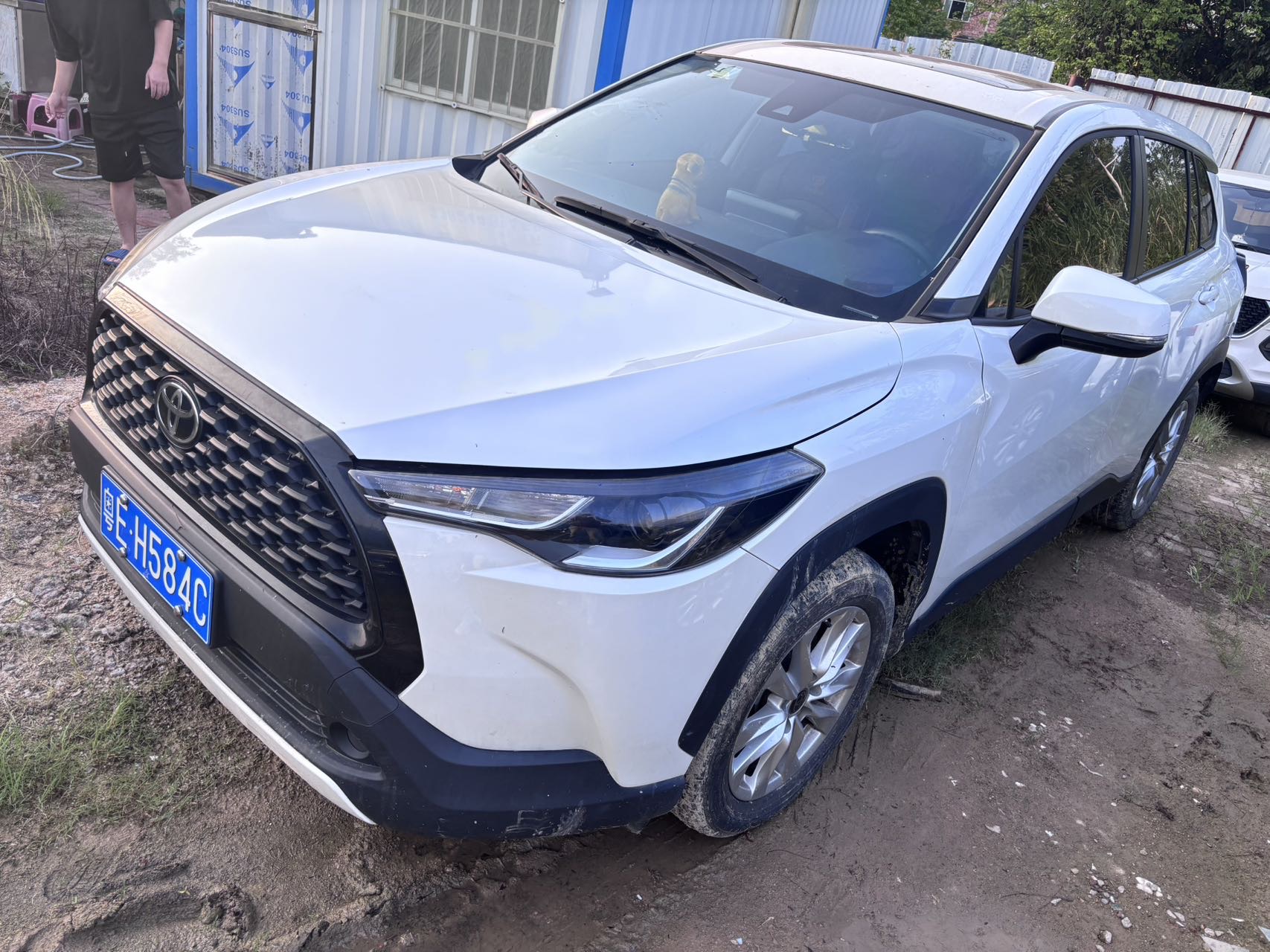 Toyota Corolla Cross 2023 car image 