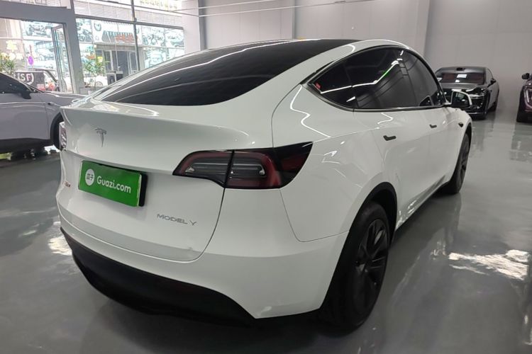 Tesla Model Y 2024 car image #7