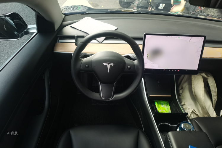 Tesla Model 3 2020 car image #12