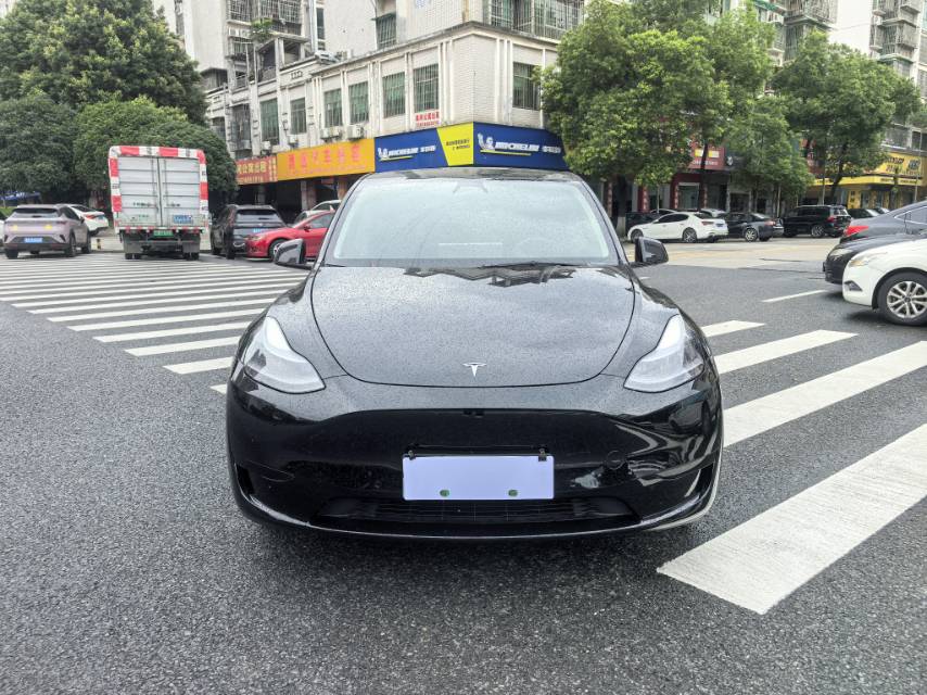 Tesla Model Y 2021 #3 Tesla Model Y 2021 car image #3