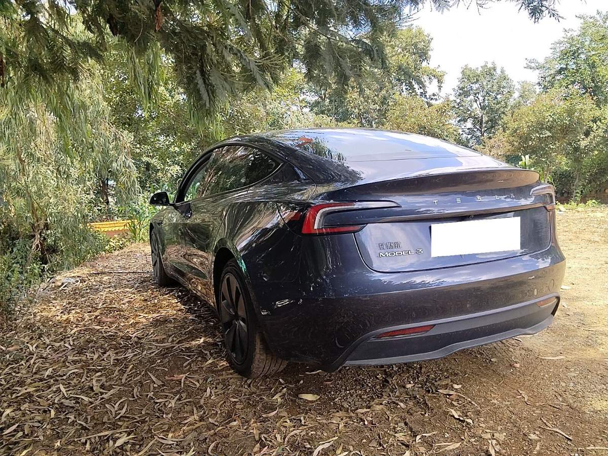 Tesla Model 3 2025 #4 Tesla Model 3 2025 car image #4