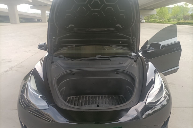 Tesla Model 3 2021 #20 Tesla Model 3 2021 car image #20