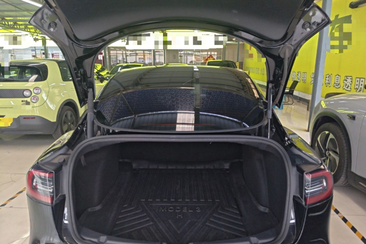 Tesla Model 3 2021 #19 Tesla Model 3 2021 car image #19