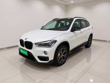 BMW X1 2019 car image 