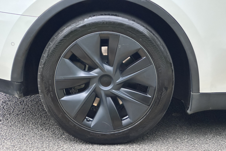 Tesla Model Y 2023 car image #14
