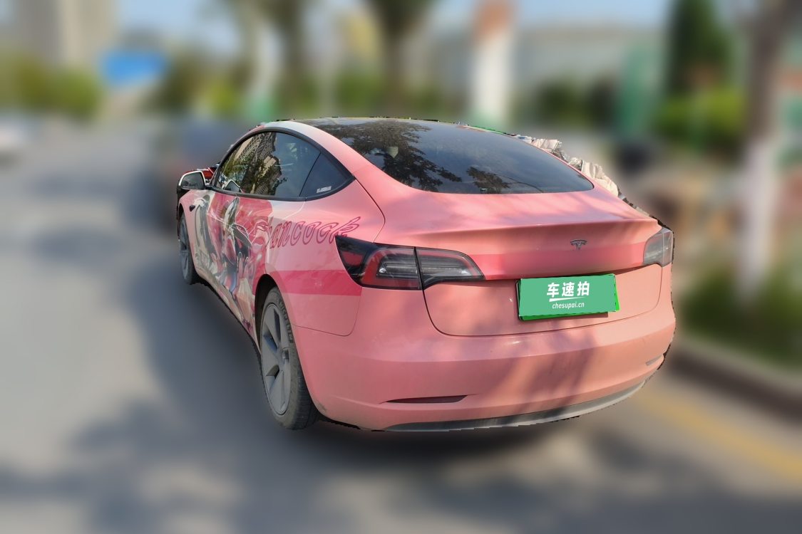 Tesla Model 3 2023 car image #3