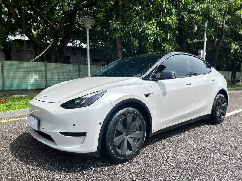 Tesla Model Y 2022 Tesla Model Y 2022 car image