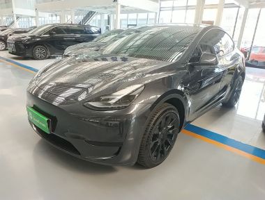 Tesla Model Y 2024 Tesla Model Y 2024 car image